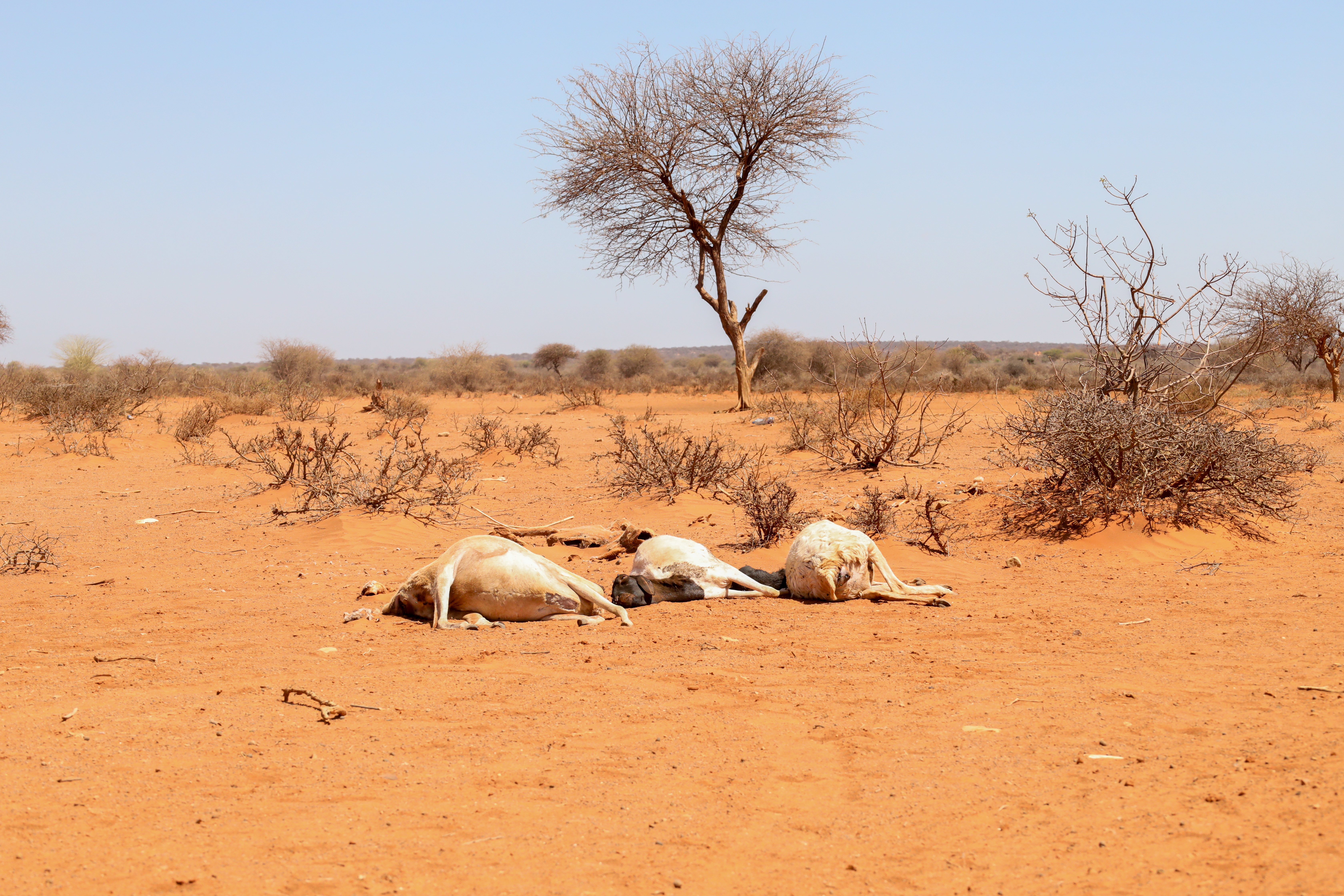 Emergency Response Mechanism