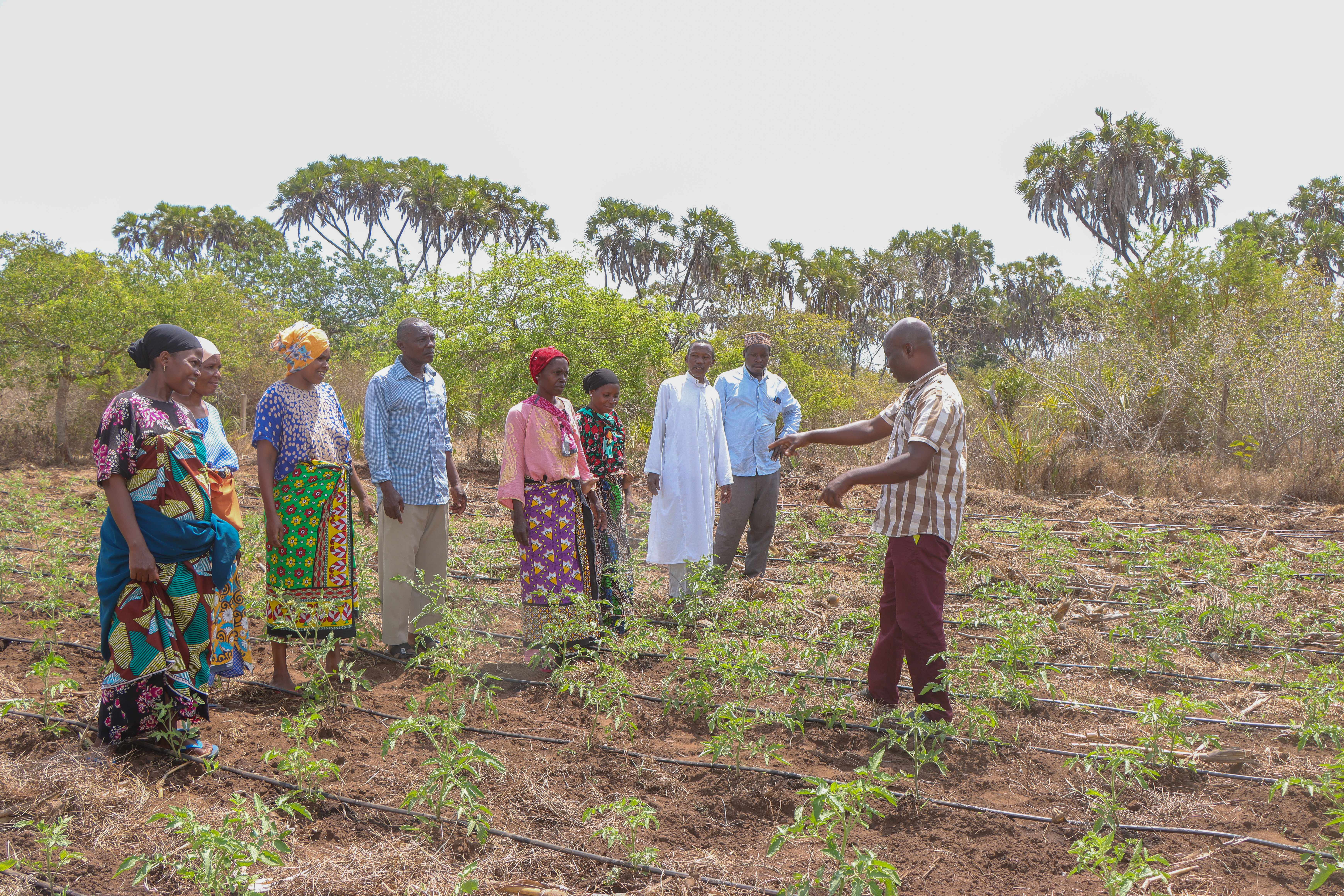 Farmer Capacity Building